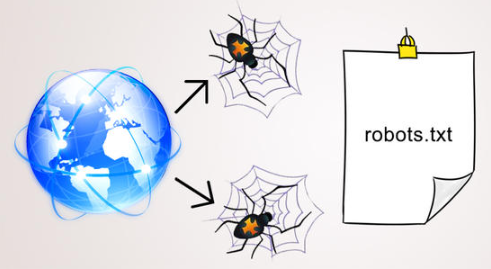什么是網(wǎng)站蜘蛛（網(wǎng)站蜘蛛都具備哪些特征）