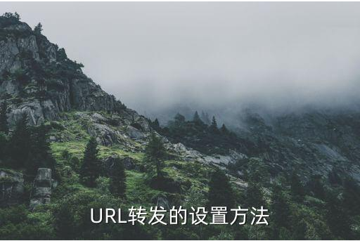 URL怎么做轉(zhuǎn)發(fā)，網(wǎng)站怎么做URL轉(zhuǎn)發(fā)