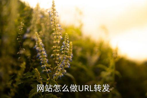 URL怎么做轉(zhuǎn)發(fā)，網(wǎng)站怎么做URL轉(zhuǎn)發(fā)