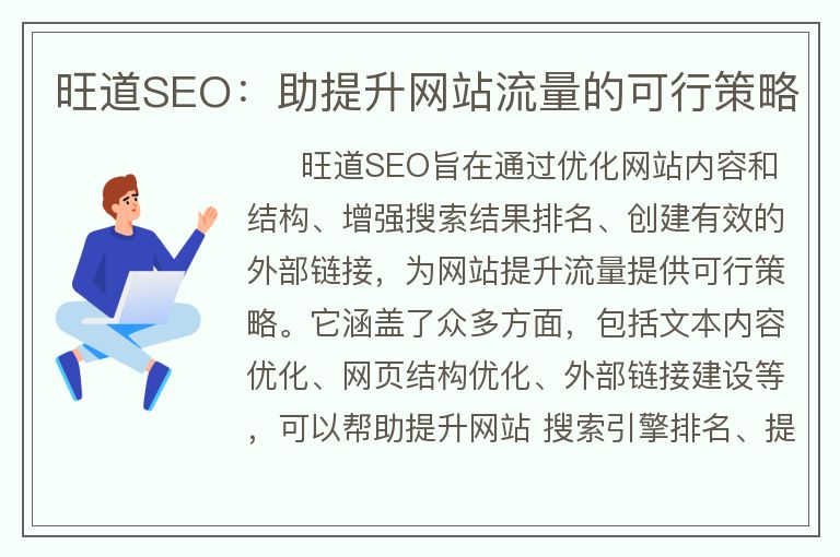 旺道SEO：助提升網(wǎng)站流量的可行策略