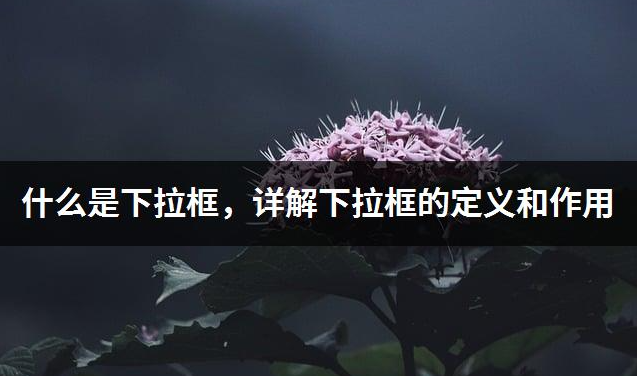 什么是下拉框,詳解下拉框的定義和作用